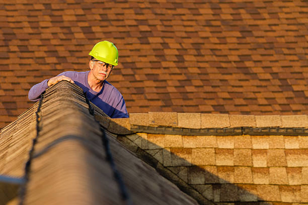 Best Roof Gutter Cleaning  in Las Maravillas, NM